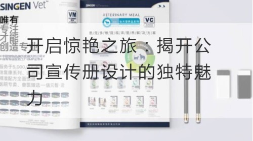 开启惊艳之旅：揭开公司宣传册设计的独特魅力